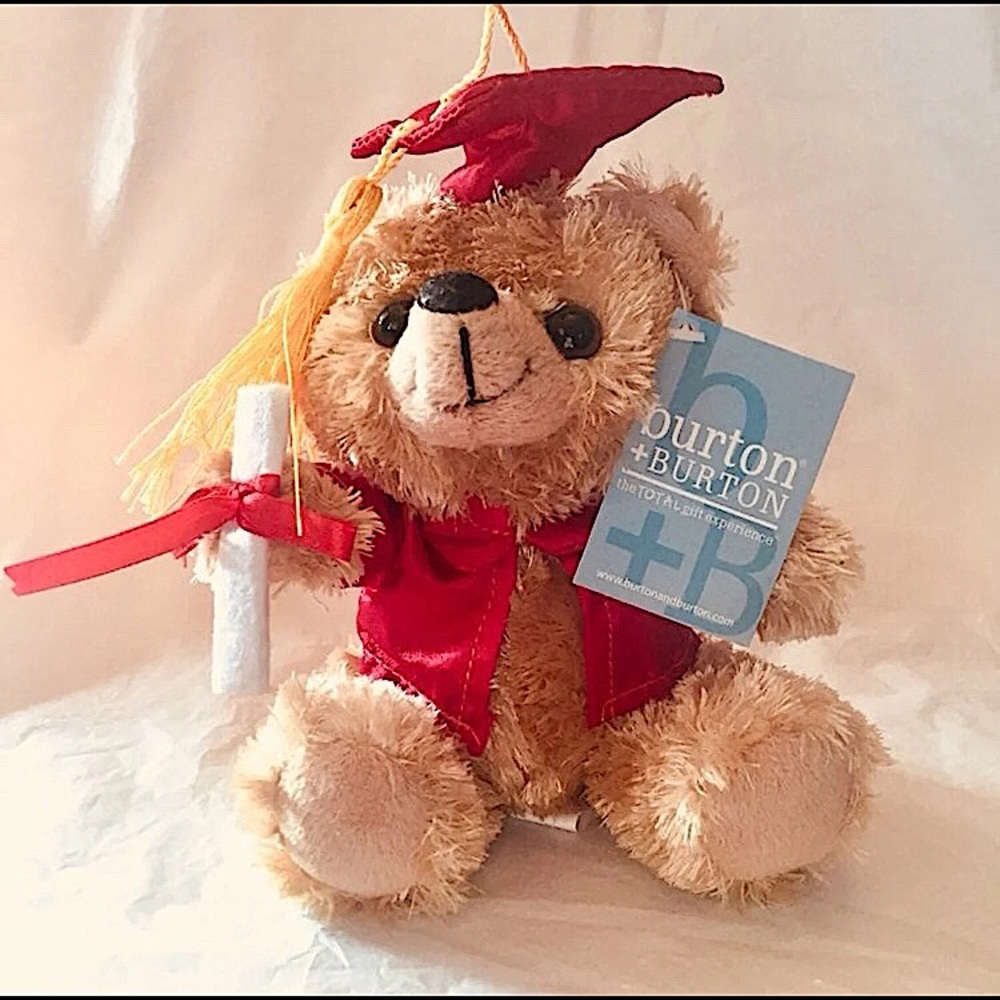 🎓Graduation Plush Bear (Red)